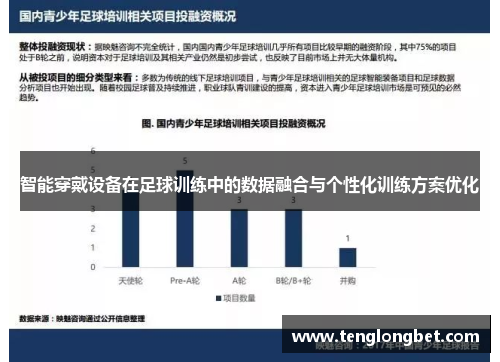 智能穿戴设备在足球训练中的数据融合与个性化训练方案优化